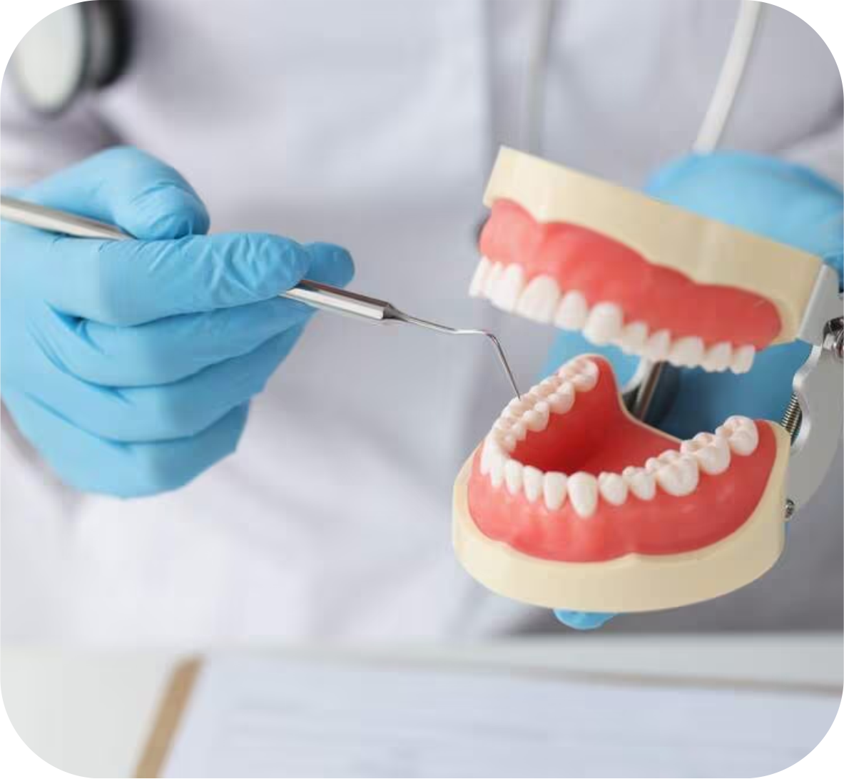 Dental Support Services