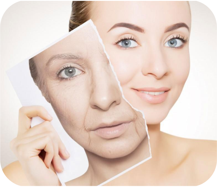 Anti-Aging